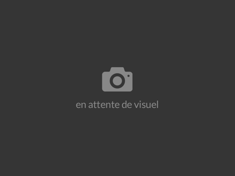 En attente de visuel